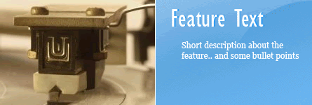 website template image